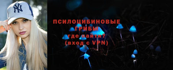 спайс Алексин